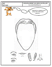 okul öncesi çocuklar için duyu organları kes ve yapıştır çalışmaları örnekleri